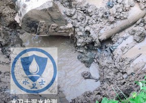 光明区水管漏水检测公司5